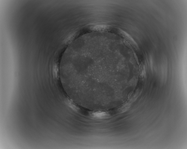 X0000115700669200911191230