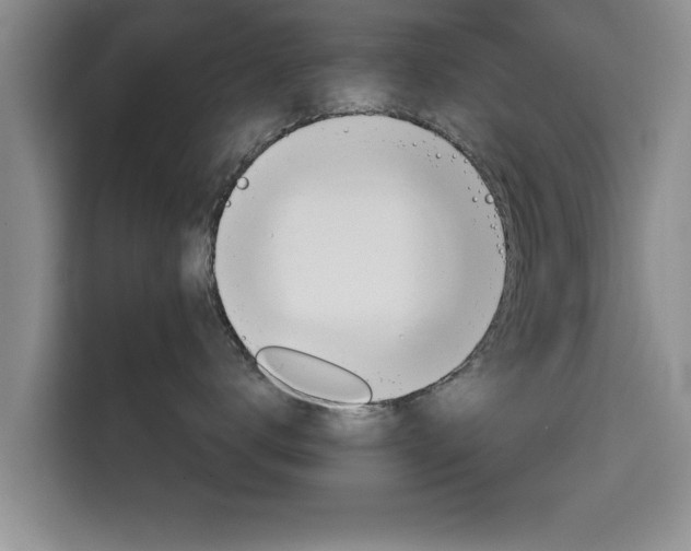 X0000115700672200911191230