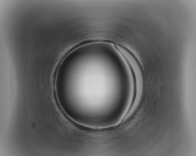 X0000115700673200911191230