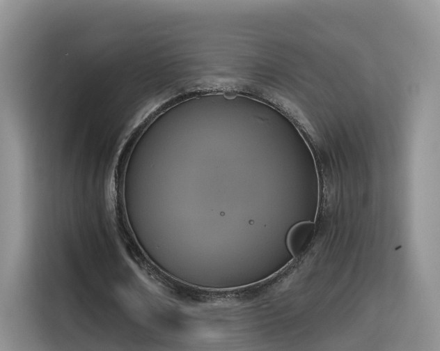 X0000115700674200911191230