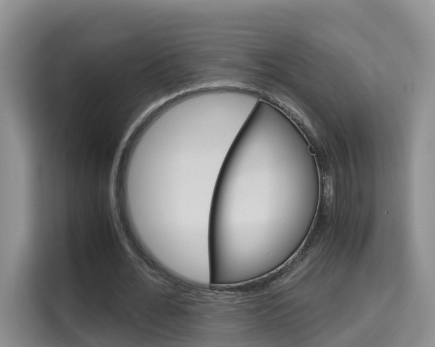 X0000115700676200911191230