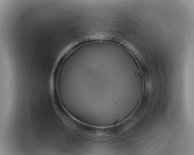 X0000115700678200911191230