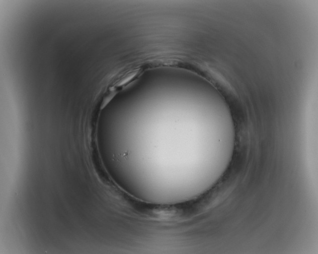 X0000115700693200911191230