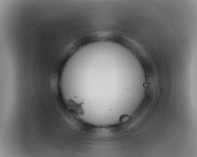 X0000115700698200911191230