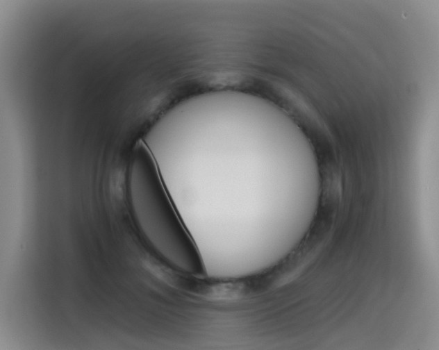 X0000115700700200911191230