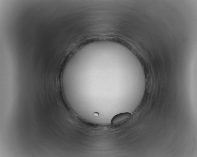 X0000115700704200911191229