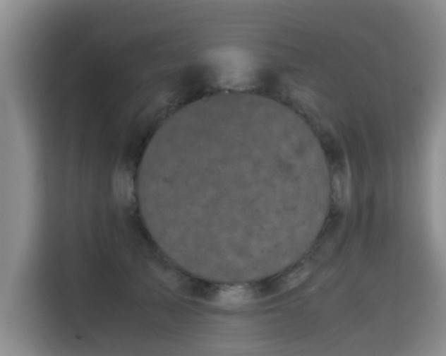 X0000115700705200911191229