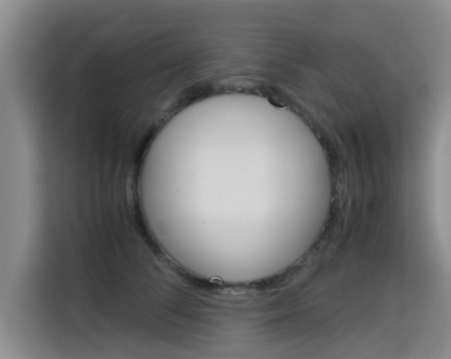 X0000115700708200911191229