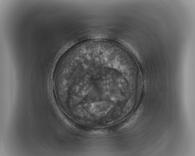 X0000115700721200911191229