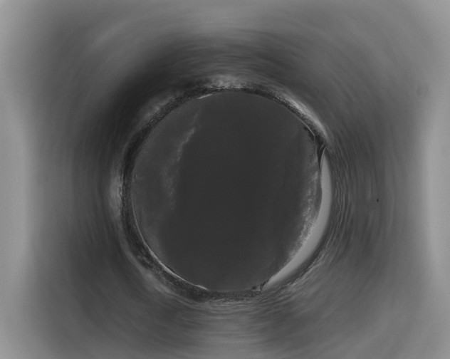 X0000115700722200911191229