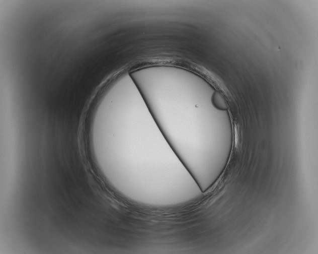 X0000115700723200911191229