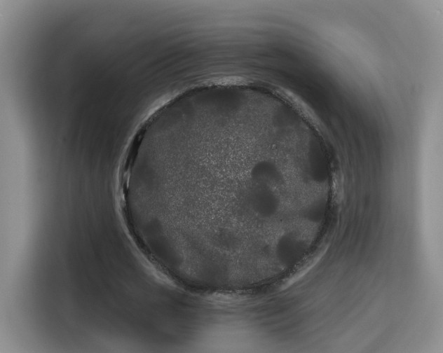 X0000115700725200911191229