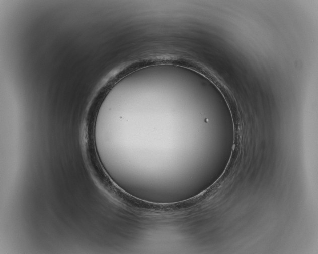 X0000115700726200911191229