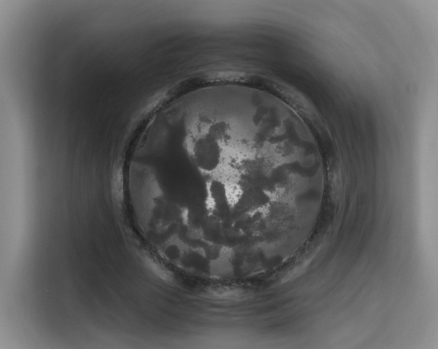 X0000115700729200911191229