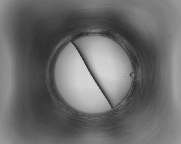 X0000115700731200911191229