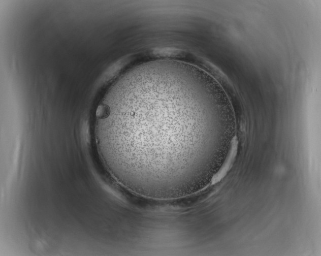 X0000115700734200911191229