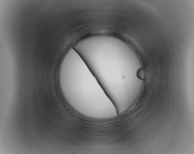 X0000115700739200911191229