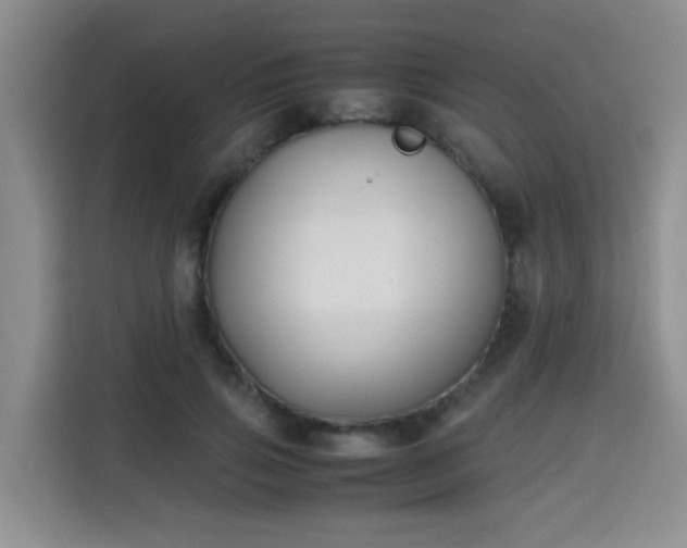 X0000115700741200911191229