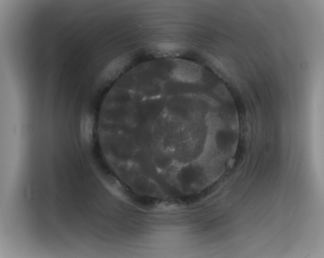 X0000115700742200911191229