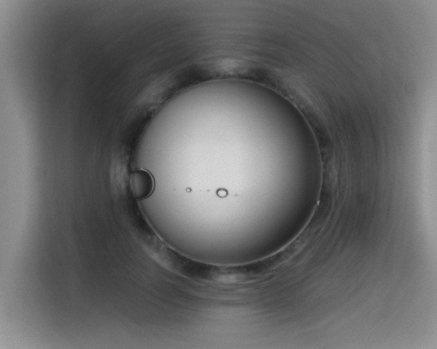 X0000115700746200911191229