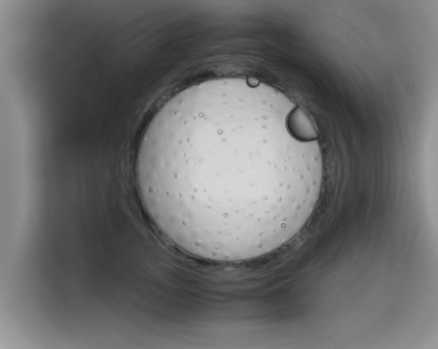 X0000115700755200911191229