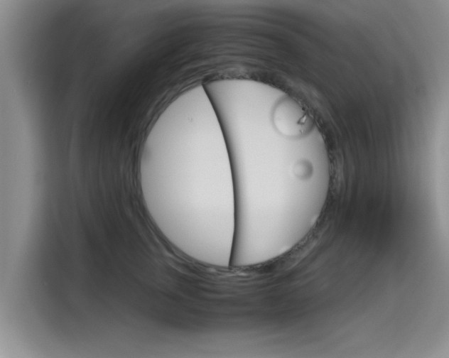 X0000115700759200911191229