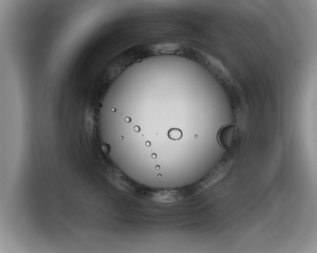 X0000115700761200911191229