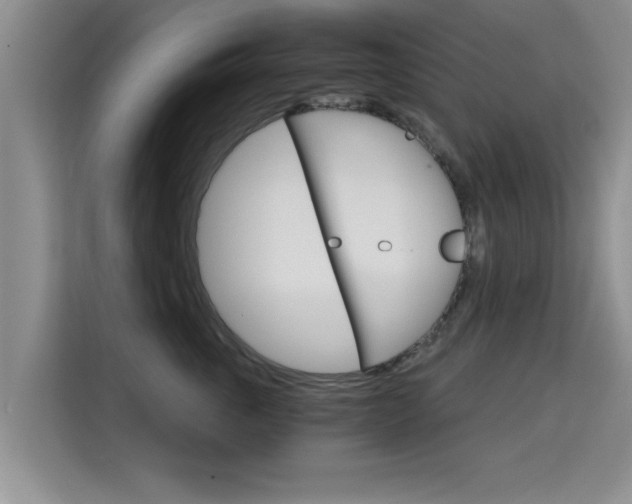 X0000115700763200911191229