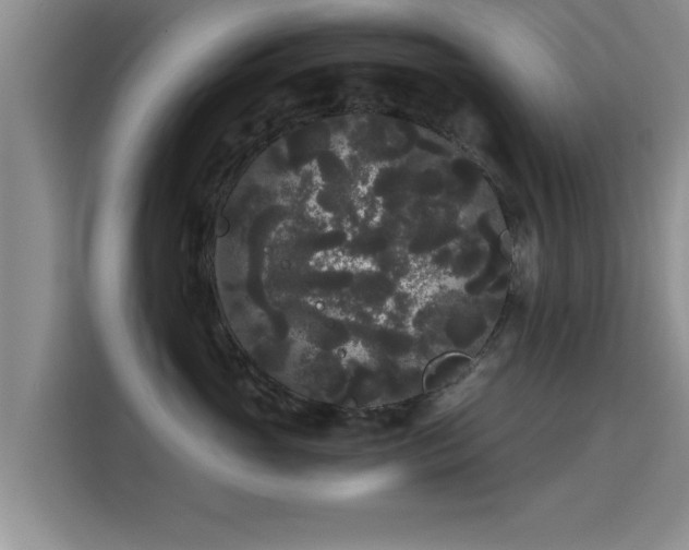 X0000115700765200911191229