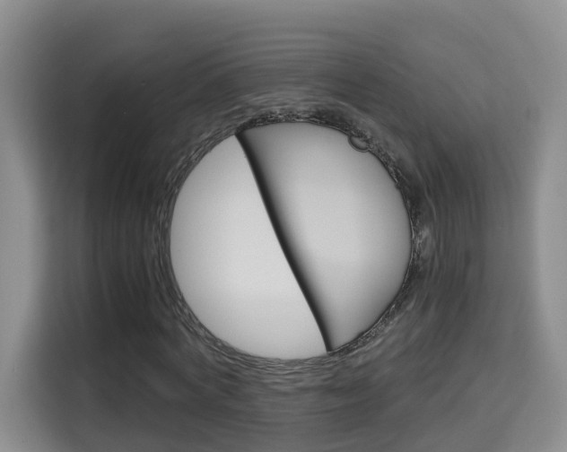 X0000115700772200911191229