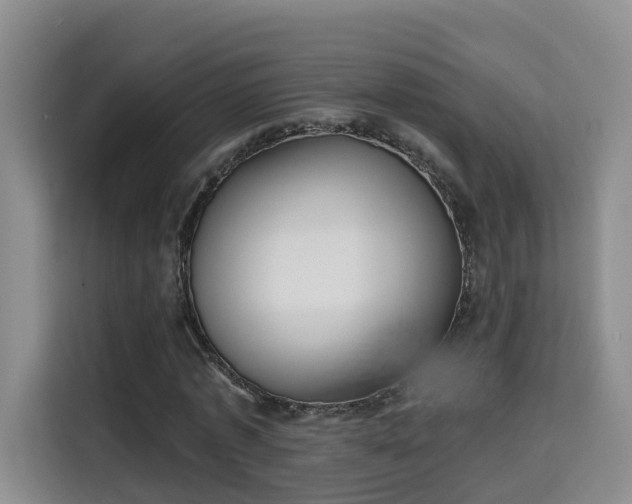 X0000115700773200911191229