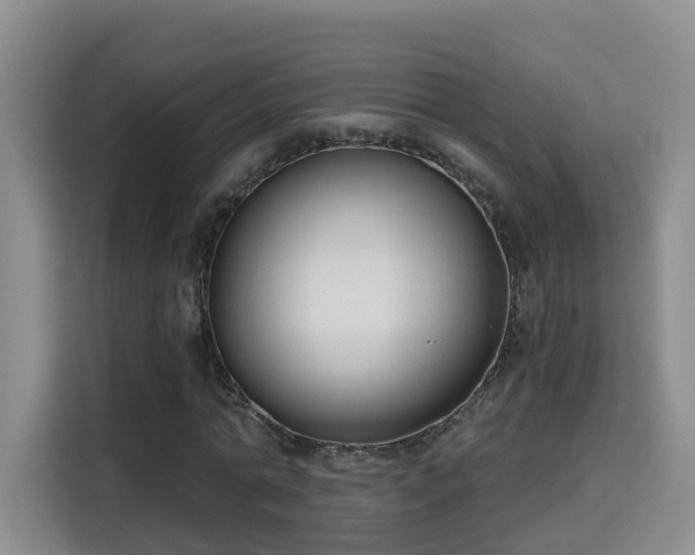 X0000115700774200911191229