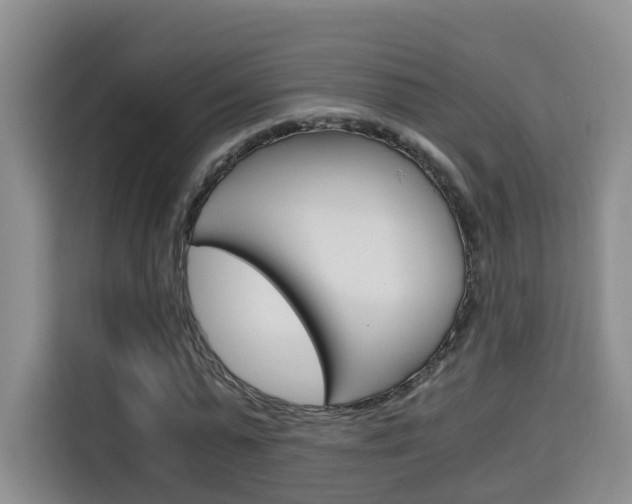 X0000115700775200911191229