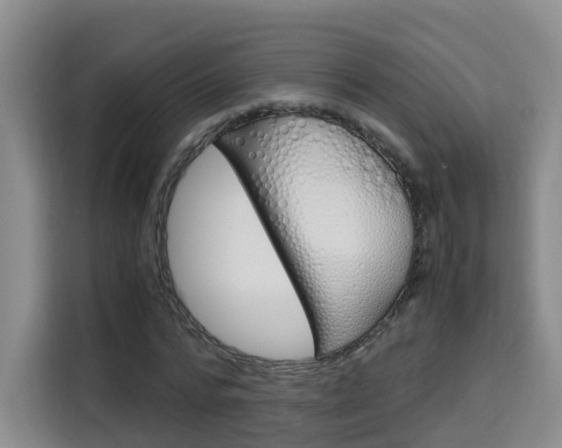 X0000115700776200911191229