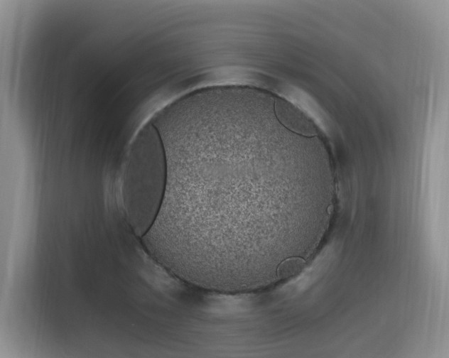 X0000115700781200911191228