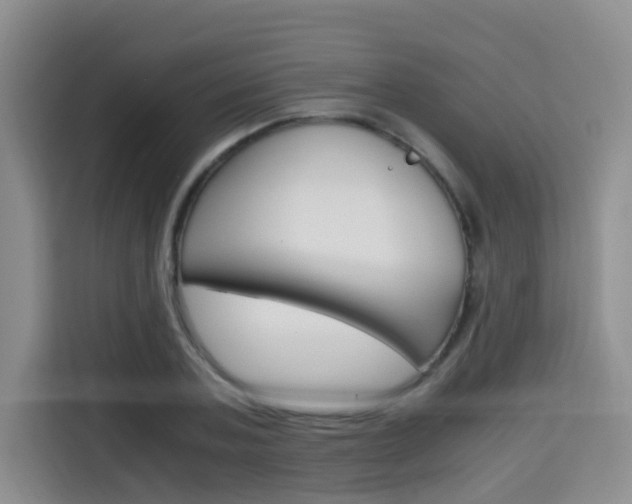 X0000115700787200911191228