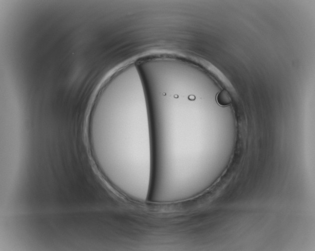 X0000115700791200911191228