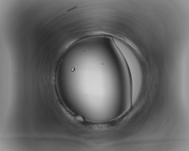 X0000115700793200911191228