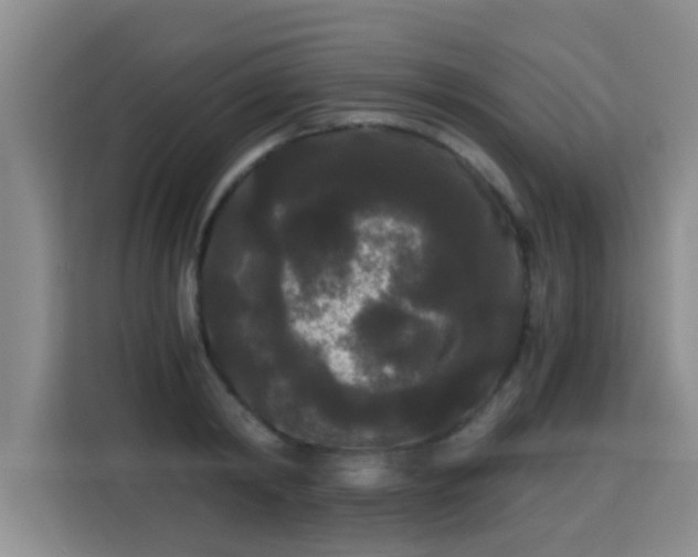 X0000115700798200911191228