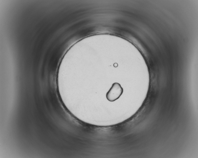 X0000115700810200911191228