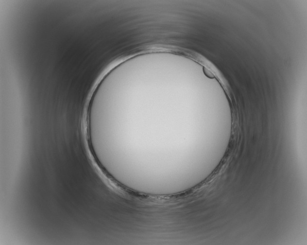 X0000115700811200911191228