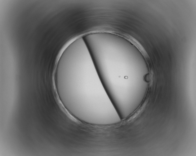 X0000115700812200911191228