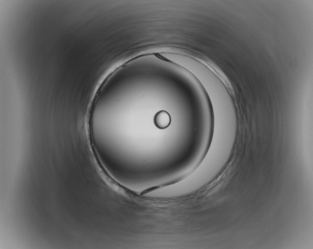 X0000115700813200911191228