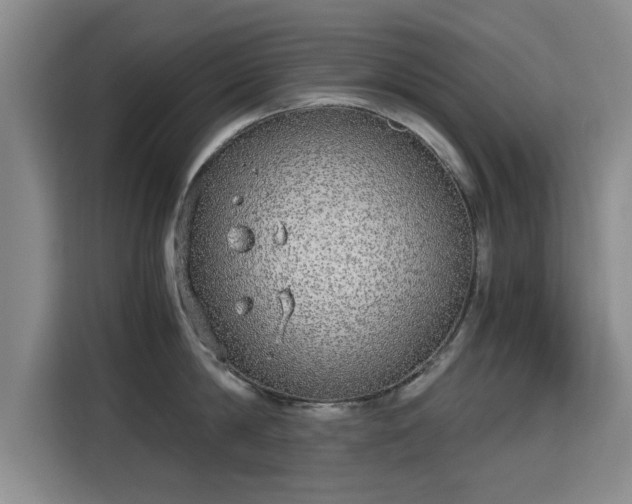 X0000115700814200911191228