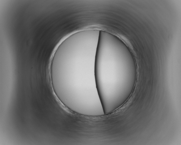 X0000115700816200911191228