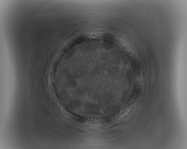 X0000115700817200911191227