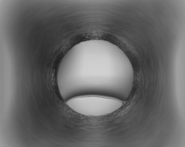 X0000115700818200911191227