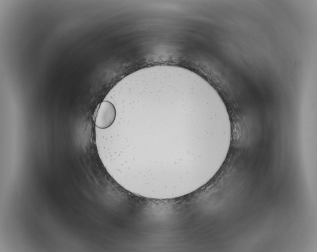 X0000115700820200911191227