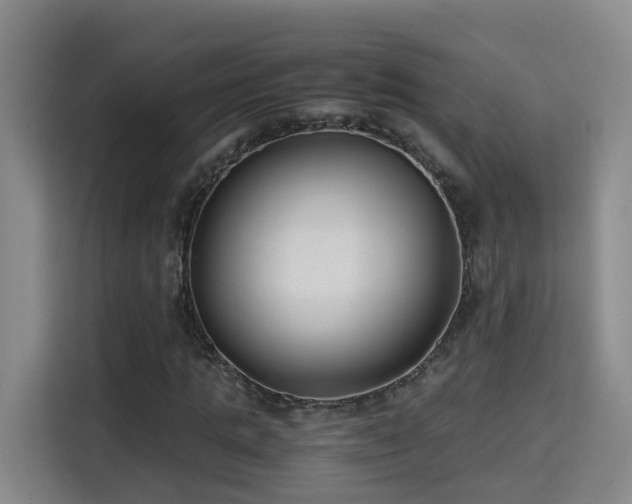 X0000115700821200911191227