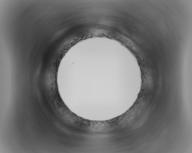 X0000115700824200911191227